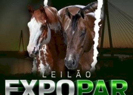 1º LEILÃO EXPOPAR