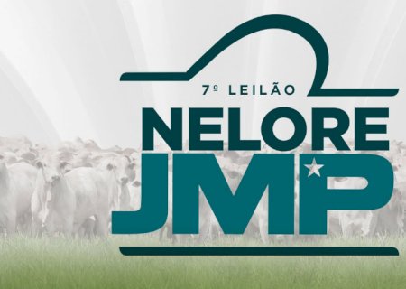 LEILÃO JMP MATRIZES / TOUROS .  f