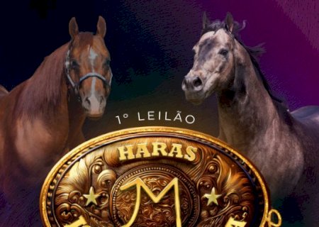 LEILAO HARAS JOAO E MARIA