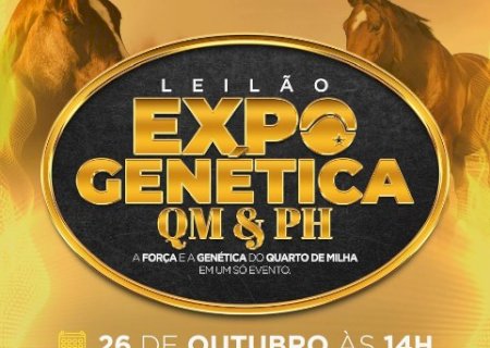 LEILÃO EXPOGENÉTICA QM & PH