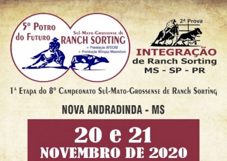 5º POTRO DO FUTURO SUL. M.G. DE RANCH SORTING