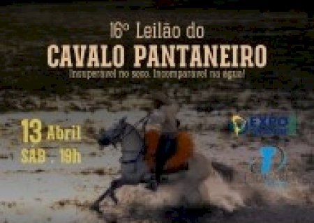 18° LEILÃO CAVALO PANTANEIRO