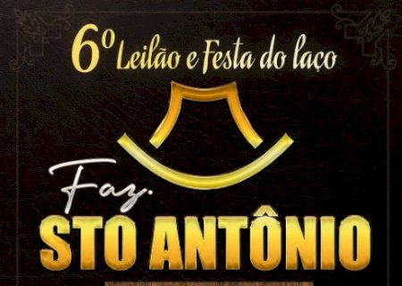6º LEILÃO SANTO ANTONIO