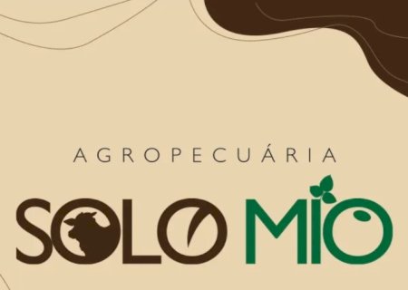 LEILÃO AGROPECUARIA SOLO MIO