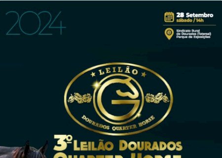 4º LEILÃO DOURADOS QUARTER HORSE