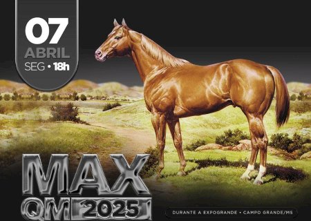 LEILÃO MAX QM - 40 ANOS
