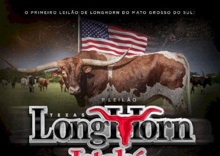 1º LEILÃO TEXAS LONGHORN JATOBÁ