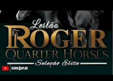 2º LEILÃO ROGER QUARTER HORSES