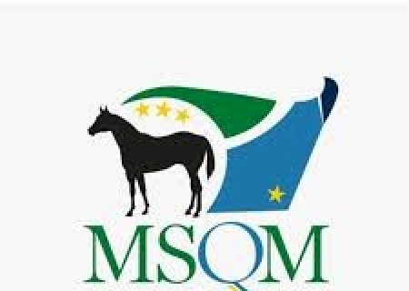 MSQM LAÇO TECNICO