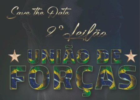 2º LEILÃO UNIÃO DE FORÇAS